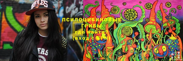 ECSTASY Бронницы