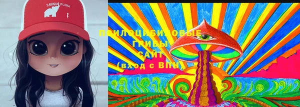 ECSTASY Бронницы
